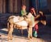 Boy on donkey, Aq Kupruk