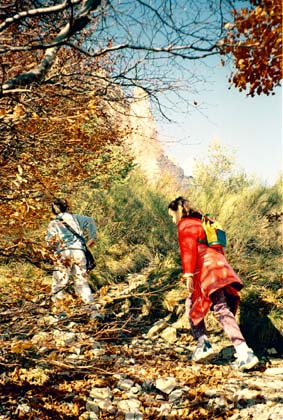 Au début, la forêt nous offre de très belles teintes