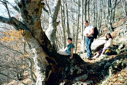 Dernière photo en forêt, avant le paysage râpé des sommets